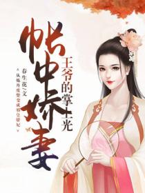 帐中娇妻:王爷的掌上光