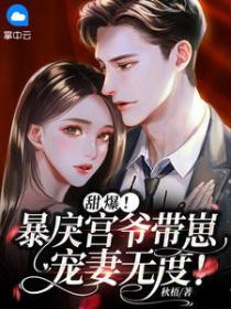 甜爆!暴戾宫爷带崽宠妻无度!