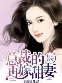 独家婚宠,总裁的再嫁甜妻