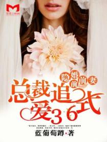 隐婚前前妻:总裁追爱36式