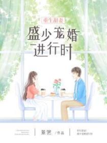 重生甜妻盛少宠婚进行时