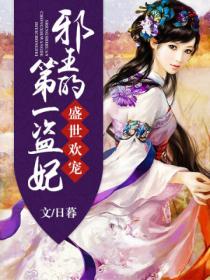 盛世欢宠:邪王的第一盗妃