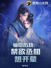 仙侣历劫:禁欲丞相想开荤