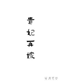 贵妃再嫁