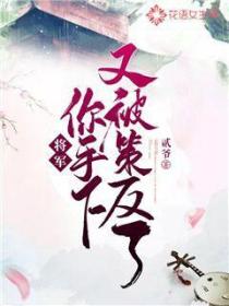 将军,你手下又被策反了!