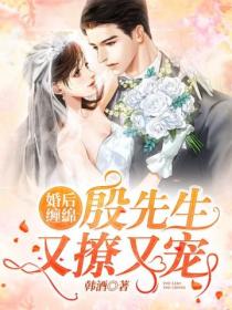 婚后缠绵:殷先生又撩又宠