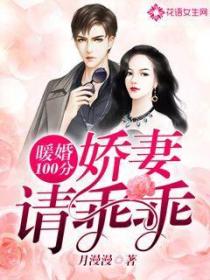暖婚100分娇妻请乖乖