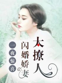 一夜惊喜:闪婚娇妻太撩人