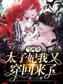 当两年太子妃我又穿回来了