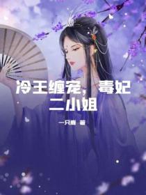 冷王缠宠,毒妃二小姐