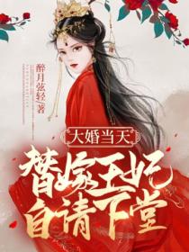 大婚当天,替嫁王妃自请下堂