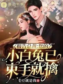 报告总裁:您的小白兔已束手就擒