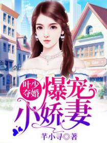 叶少夺婚:爆宠小娇妻