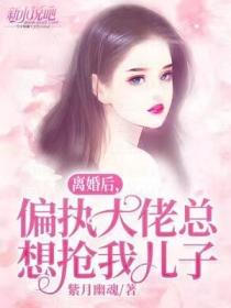 离婚后，偏执大佬总想抢我儿子