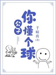 公子,你懂个球