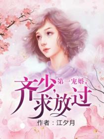 第一宠婚,齐少,求放过