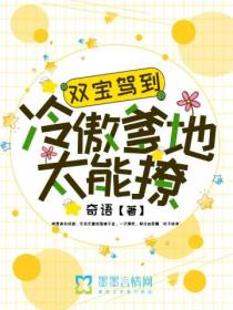 双宝驾到:冷傲爹地太能撩