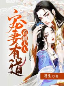 首辅大人宠妻有道