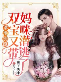 爹地别撩:双宝又带妈咪潜逃了