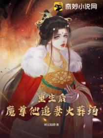 重生后,魔尊他追妻火葬场