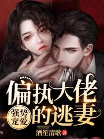 强势宠爱:偏执大佬的逃妻