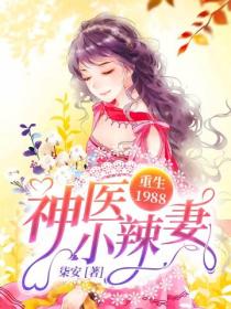 重生1988:神医小辣妻
