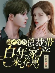 破产怀孕:总裁带百年家产来养崽