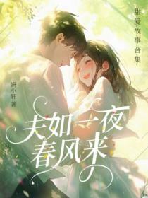 夫如一夜春风来:甜爱故事合集