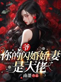 爷,你的闪婚娇妻是大佬