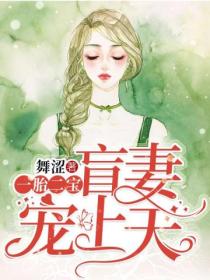 一胎二宝:盲妻宠上天