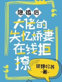 隐婚后,大佬的失忆娇妻在线拒撩