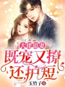 大佬追妻:既宠又撩还护短