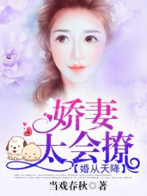 婚从天降:娇妻太会撩