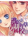 逃婚公主的专属校草