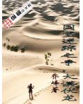国宝迷踪之争:大漠伏龙