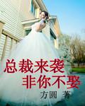 总裁来袭,非你不娶