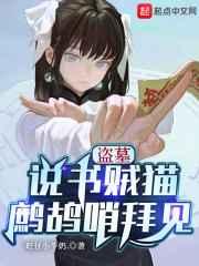盗墓:说书贼猫,鹧鸪哨拜见