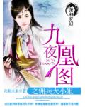 九夜凰图之佣兵大小