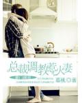 豪门盛宠:总裁调教