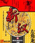 新汉
