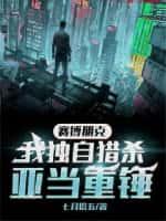 赛博朋克:我独自猎杀亚当重锤