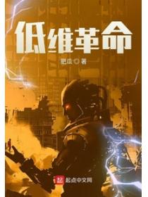 低维革命