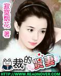少董的小贤妻