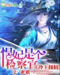 冷王接招,悍妃是个检察官