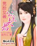 男扮女装:公主夫君