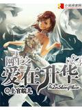 网王之爱在升