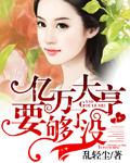 总裁的恋人