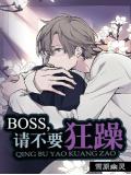 boss,请不要狂躁