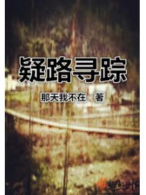 疑路寻踪