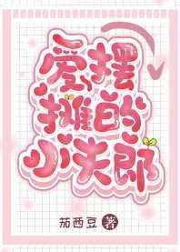 爱摆摊的小夫郎